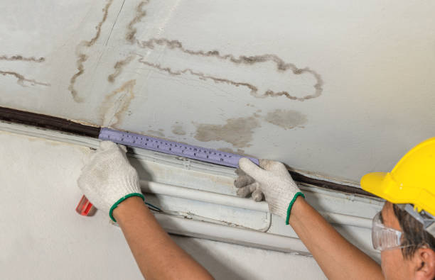 Reliable Burst Pipe Cleanup contractor in Leesville, LA by Water Damage Irwin